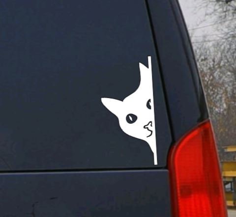 Solid Cat Peeking Side Decal - Choose Left or Right Side view -Cute Cat Car Decal | Funny Cat Stickers