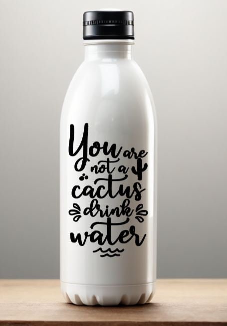 VINYL Car Decal |You Are Not A Cactus DRINK Water Vinyl Decal | Water Bottle Decal | Water Drinker Glass Decal | Car Decal | Window
