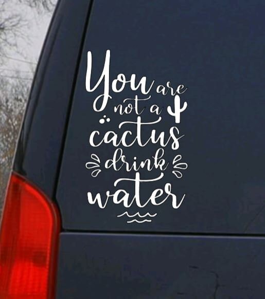 VINYL Car Decal |You Are Not A Cactus DRINK Water Vinyl Decal | Water Bottle Decal | Water Drinker Glass Decal | Car Decal | Window