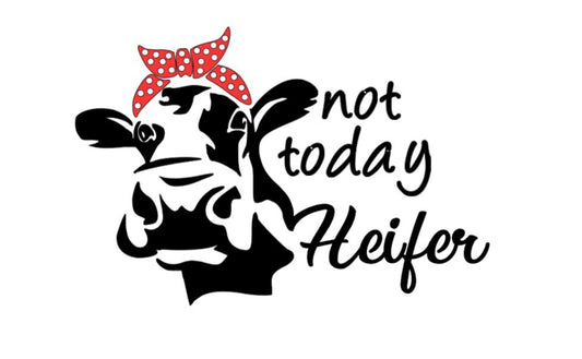 Not Today Heifer Cow Decal – Funny Cow Sticker with Bandana (Dotted or Plain) for Car, Window, i Cup