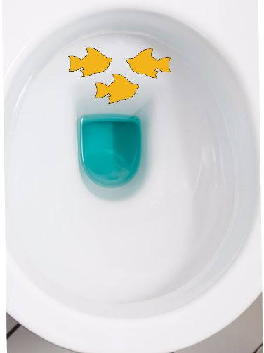 WEE WEE TARGETS Set of 3 - Potty Training Pee Targets Toilet Training Vinyl Toilet Decals Aim Decals Toddler Pee Targets Potty Training Fun