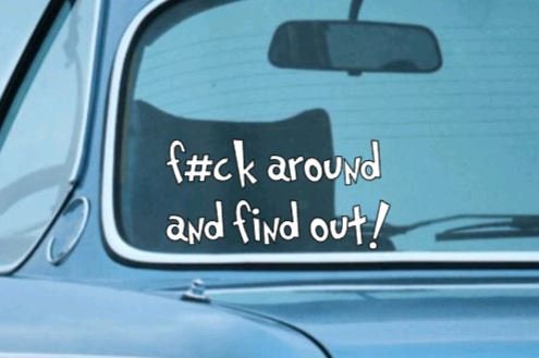 Fuck Around and Find Out Vinyl Decal F#ck around and find out! Decal; Car decal Window Decal Rtic/Yeti Cup Decal