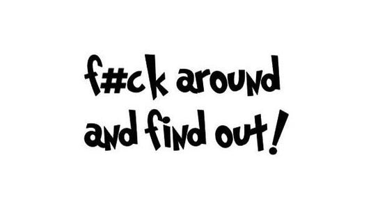Fuck Around and Find Out Vinyl Decal F#ck around and find out! Decal; Car decal Window Decal Rtic/Yeti Cup Decal