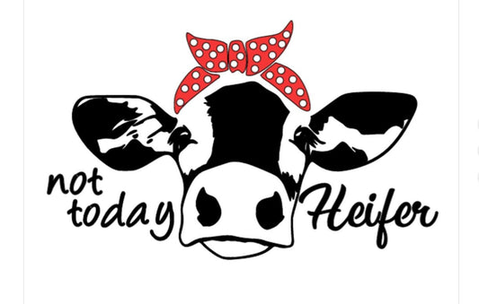 "Not Today Heifer" Cow  with Bandana Vinyl Decal – Funny Cow Sticker with Bandana (Dotted or Plain)