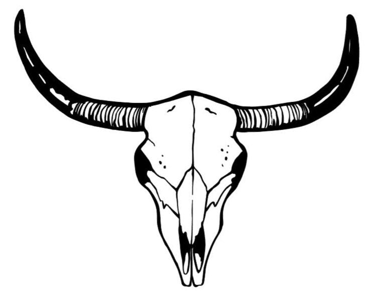 STEER Skull Decal | Western Decal | Western Skull Decal Window Decal | Computer  Decal
