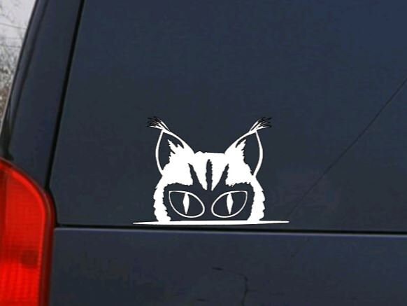Cat Peeking Vinyl Decal | Car Window Decal | Funny Cat Decal | Cute Cat Stickers