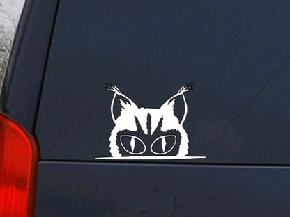 Cat Peeking Vinyl Decal | Car Window Decal | Funny Cat Decal | Cute Cat Stickers