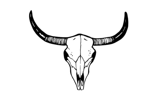 STEER Skull Decal | Western Decal | Western Skull Decal Window Decal | Computer  Decal