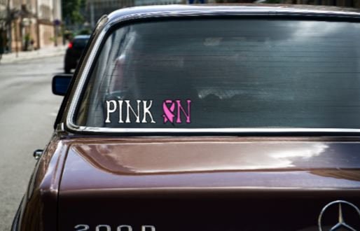VINYL Decal | PINK ON Decal | Breast Cancer Awareness Decal | Breast Cancer Window Decal | Vinyl Sticker | Cup Decal Computer Decal
