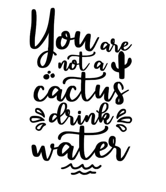 VINYL Car Decal |You Are Not A Cactus DRINK Water Vinyl Decal | Water Bottle Decal | Water Drinker Glass Decal | Car Decal | Window
